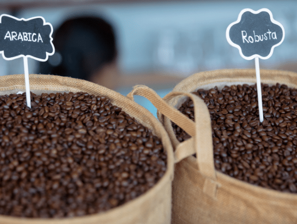 Arabica vs Robusta: What is the difference?