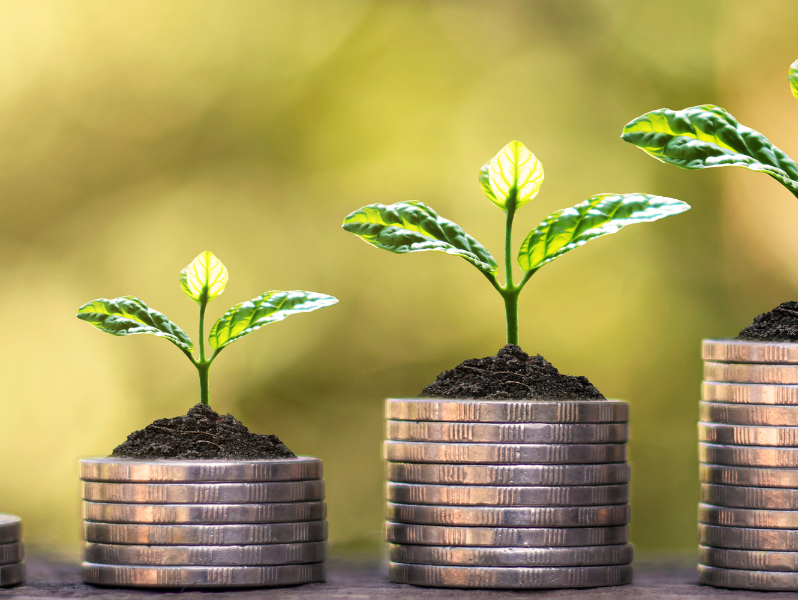 The Coffee Market: Navigating Uncharted Territory