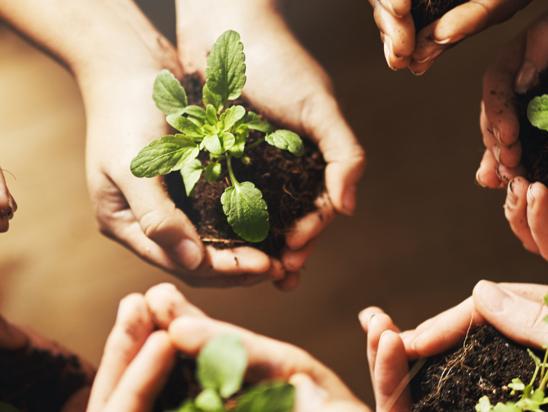 The Bun story - 20 years of Sustainability