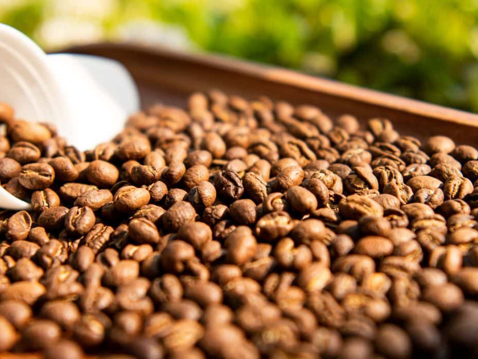 What are Peaberry Coffee Beans?