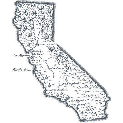 California - Flower Fields