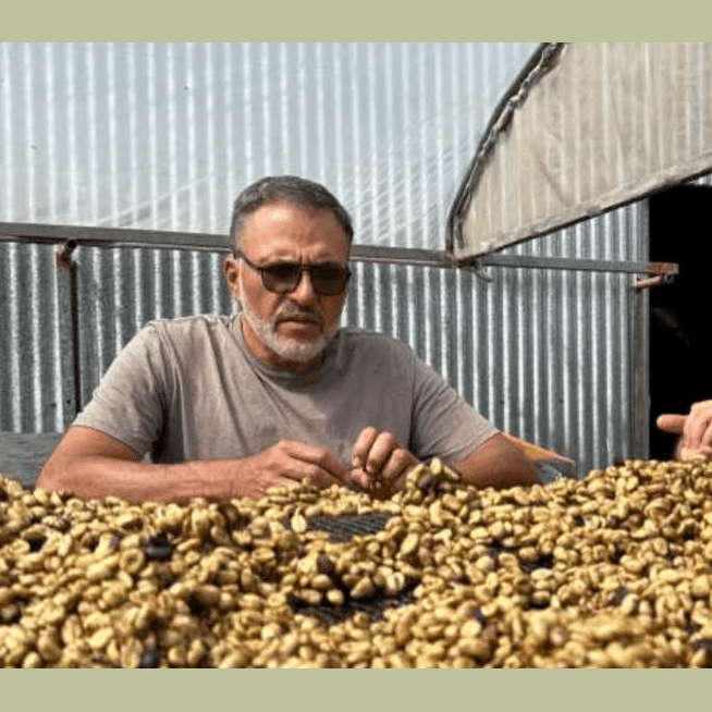 Costa Rican Red Honey