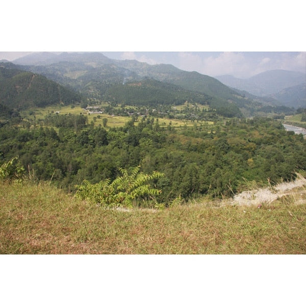 Limited Harvest Nepal - Mt Everest Supreme