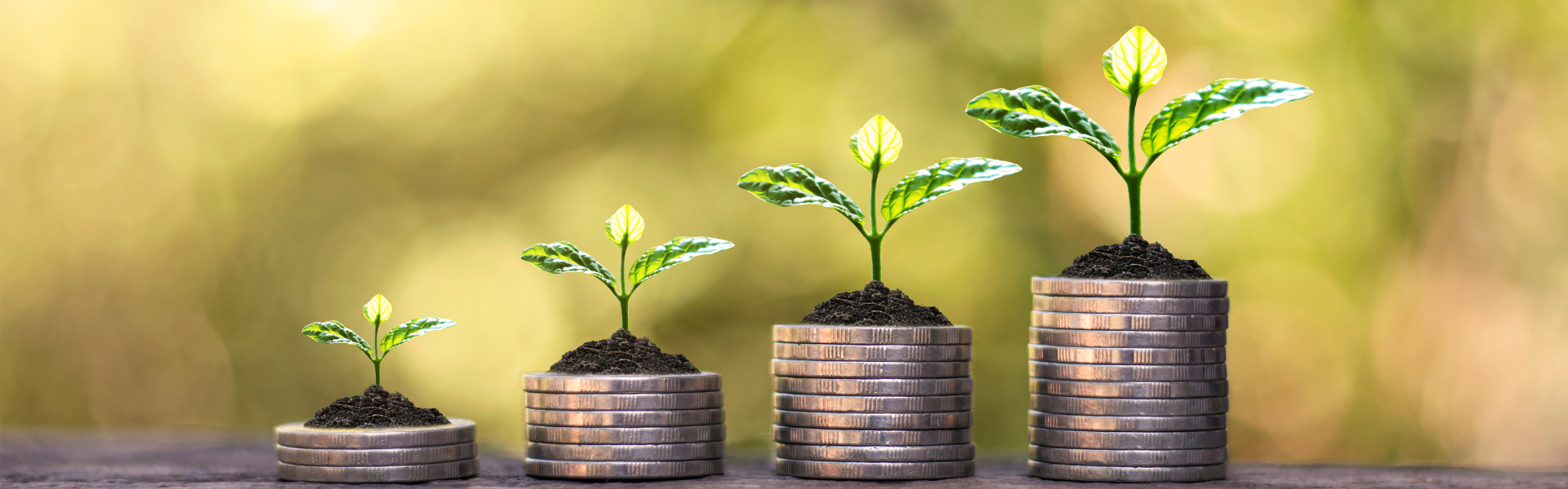 The Coffee Market: Navigating Uncharted Territory