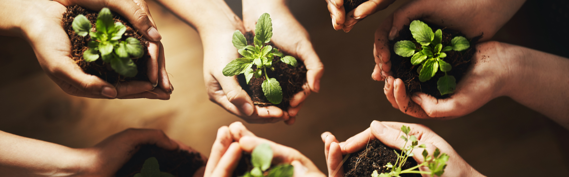 The Bun story - 20 years of Sustainability