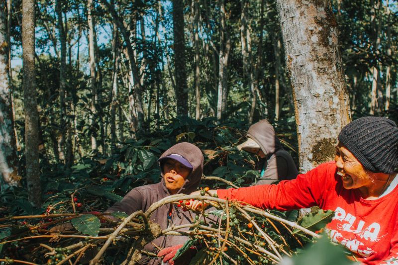 Ethical Coffee
