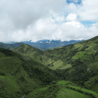 Ecuador - Finca Panama Microlot